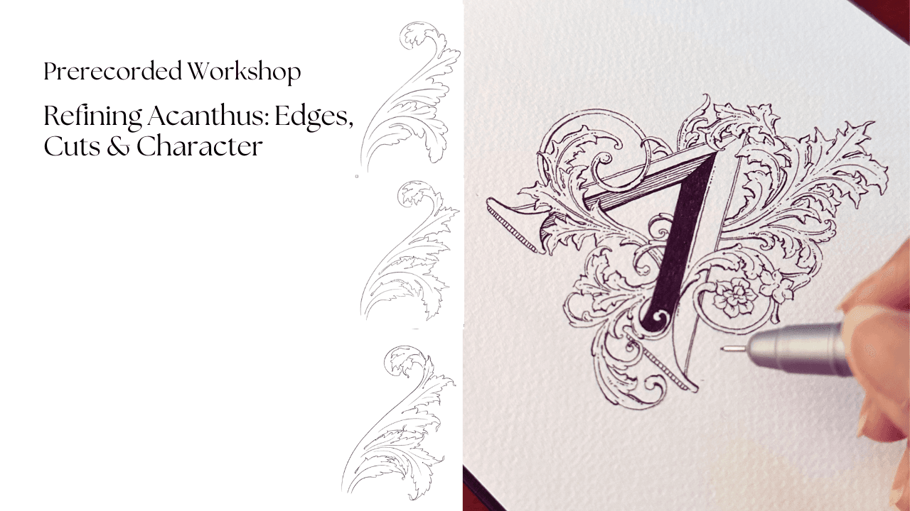 Refining Acanthus: Edges, Cuts & Character