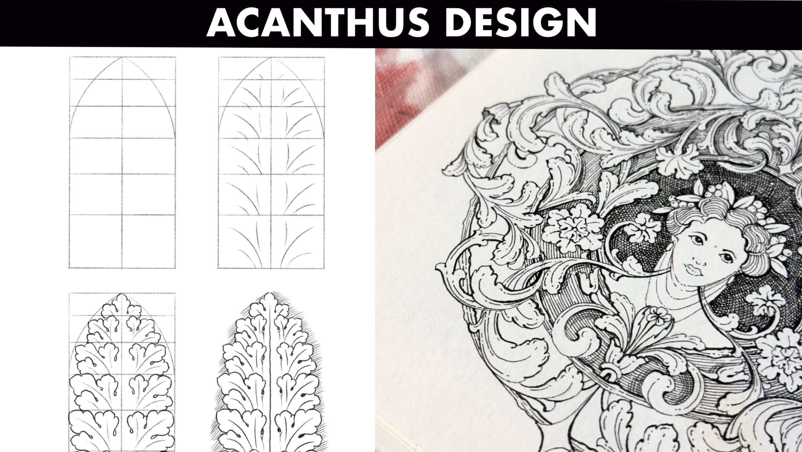 Acanthus Design Course: Leaves, Lobes and Curves