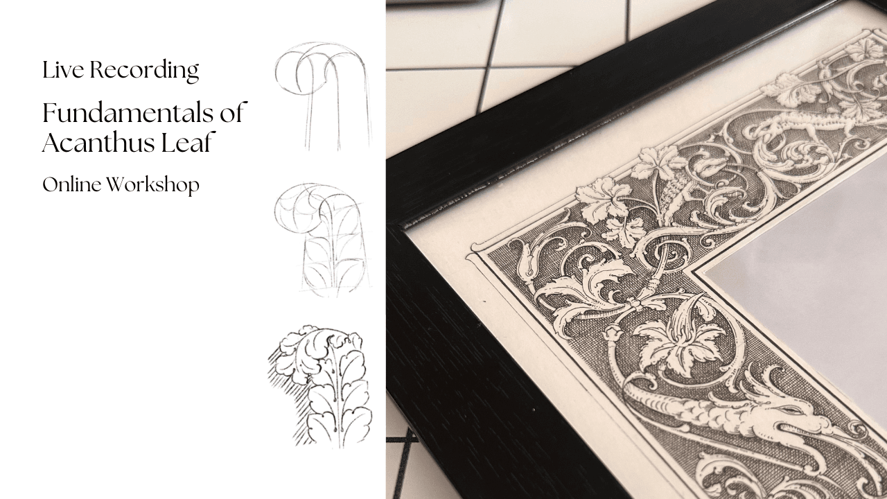 How to Draw an Acanthus Leaf: Beginner Course